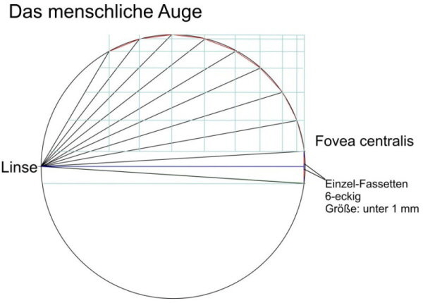 Fovea-centralis-900