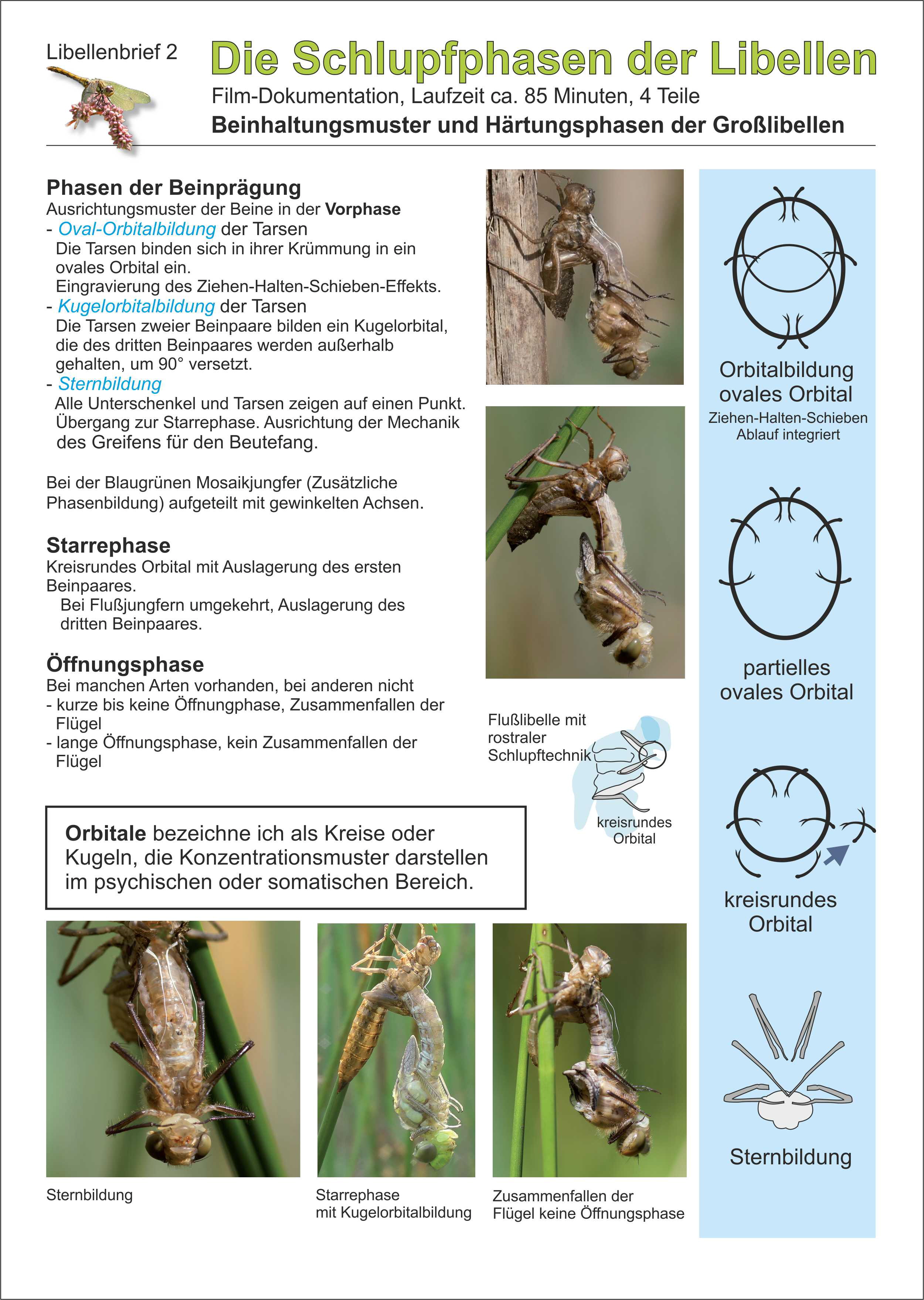 Poster Orbitale-Strukturen